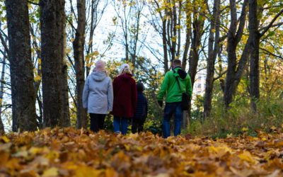 COVID-19 ja perheiden mielenterveys