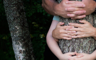 Hyvän elämän avaimia, osa 3