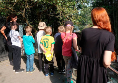 Lapset katselevat kahden aikuisen kanssa eläintarhassa eläintä.
