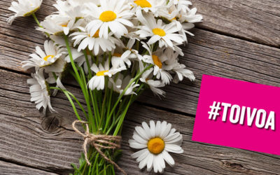 Kesäterveiset yhdistyksen matalan kynnyksen Tuikku-toiminnasta!