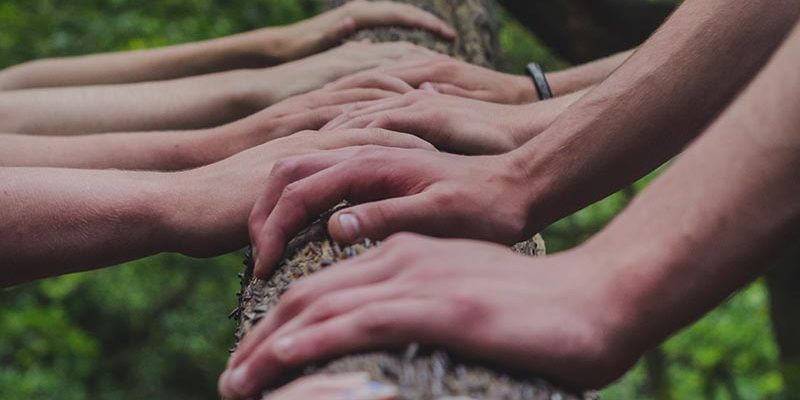Ihmiset pitelevät käsillään kiinni puusta.