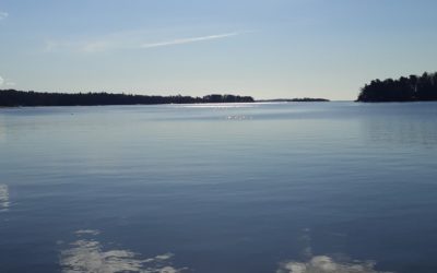 Vanhempien tukeminen nuoren sairastuessa psyykkisesti -opinnäytetyö on julkaistu