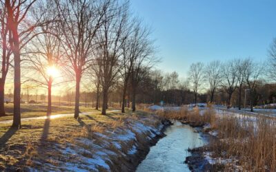 Vastaa kyselyyn – kokemuksia sairastuneen omaisena