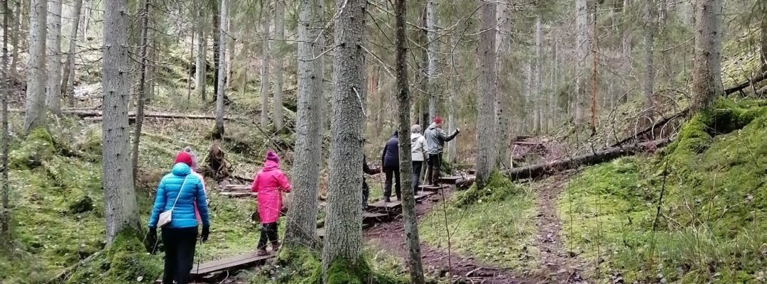 Ihmiset kävelevät metsässä luontopolulla.