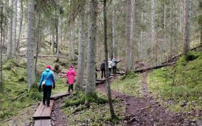 Omaisten voimavarakurssi voimaannutti