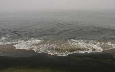 Hyvän elämän avaimia, osa 6