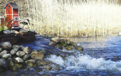 Tapahtuu toukokuussa