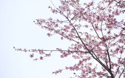 Arki on elämän tukiranka