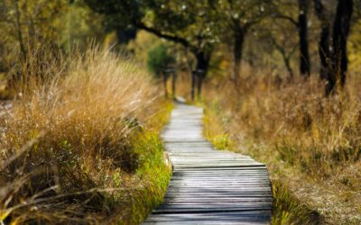 Kuinka löytää minulle merkityksellisiä asioita?