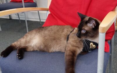 Yhdessä kohti toivoa – nuorten ja vanhempien kurssi Hotelli Nuuksiossa