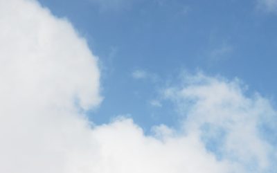 Vuoden 2021 vuosikertomus