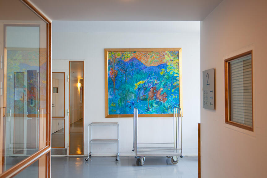 Henkilö koskettaa sammalmattoa kaksin käsin luonnossa.